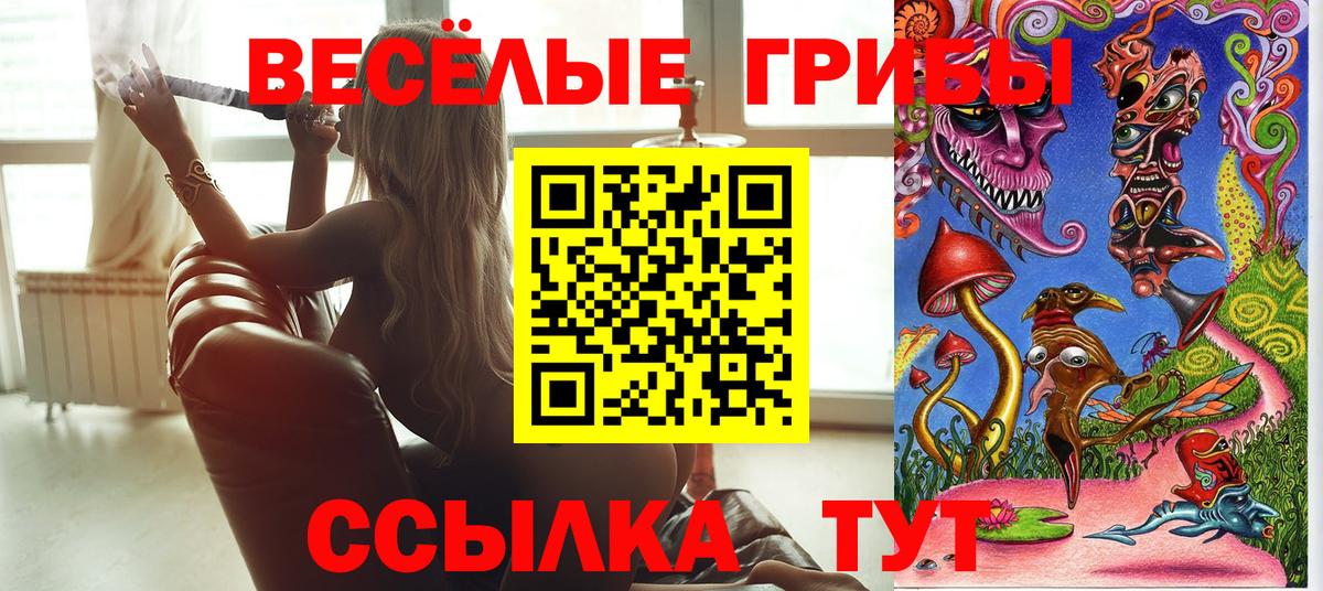 Галлюциногенные грибы Psilocybe Ивантеевка