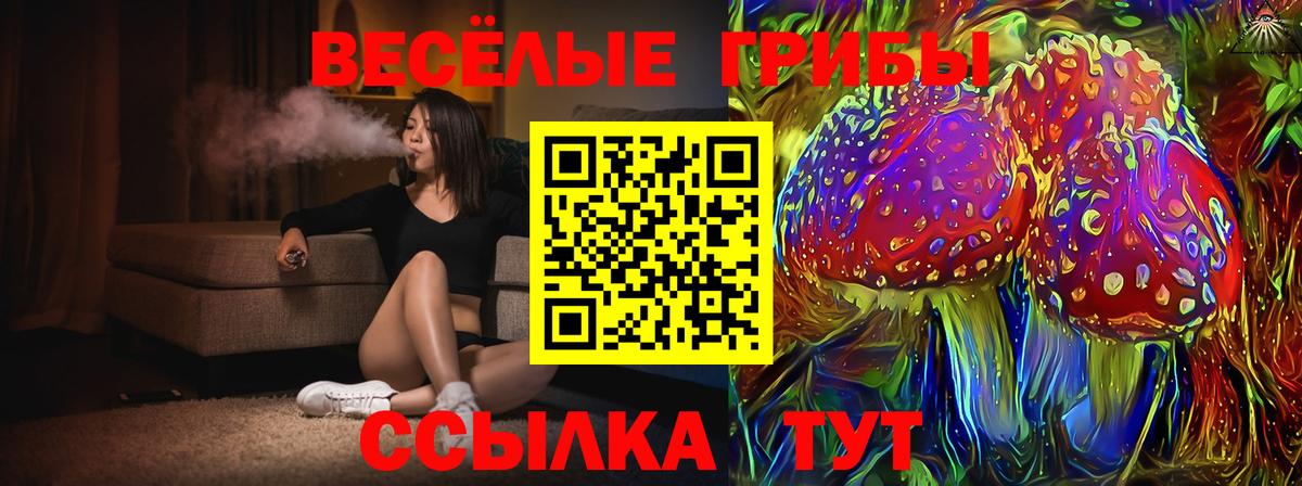 продажа наркотиков  Галлюциногенные грибы Cubensis  Вход с VPN  Ивантеевка 